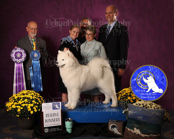 SCA2023_D_AWARD_4648