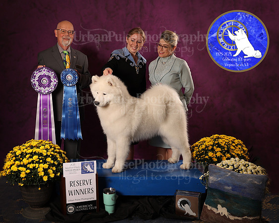 SCA2023_D_AWARD_4650