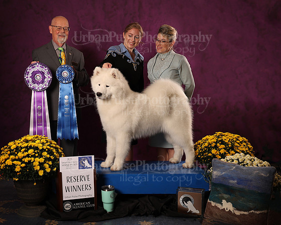 SCA2023_D_AWARD_4652