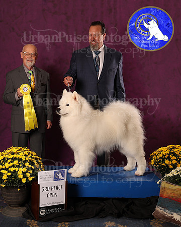 SCA2023_D_AWARD_4657