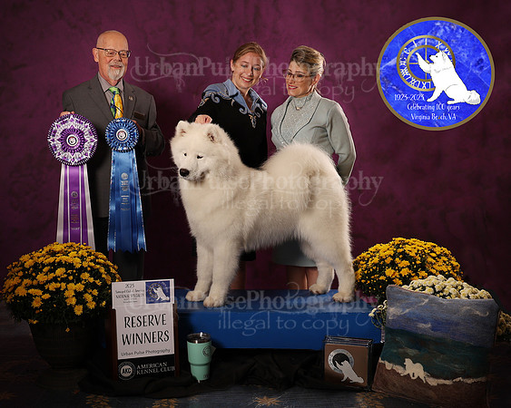 SCA2023_D_AWARD_4653