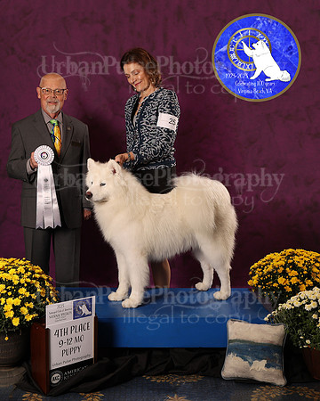SCA2023_D_AWARD_4660