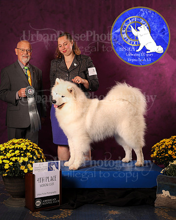 SCA2023_D_AWARD_5612