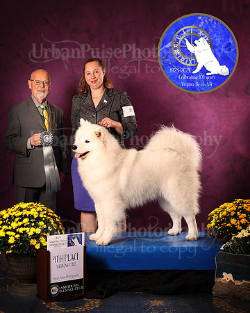 SCA2023_D_AWARD_5613