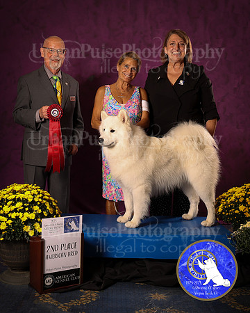 SCA2023_D_AWARD_5614