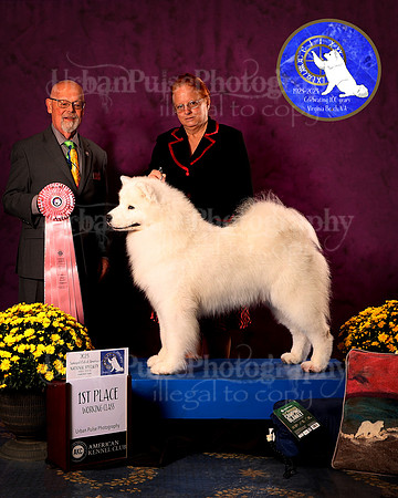 SCA2023_D_AWARD_5621