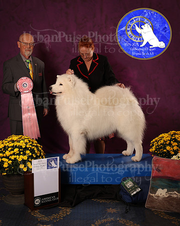 SCA2023_D_AWARD_5632