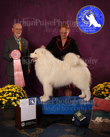 SCA2023_D_AWARD_5634