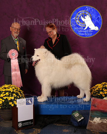 SCA2023_D_AWARD_5637