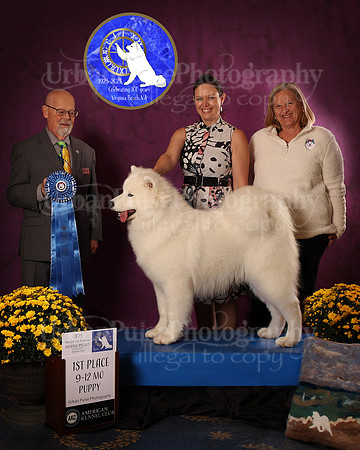 SCA2023_D_AWARD_5641