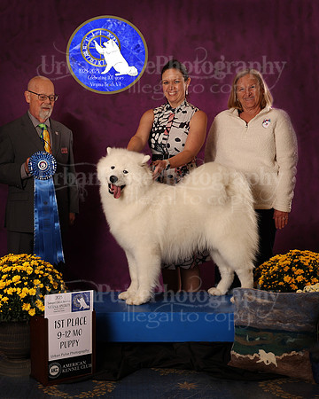 SCA2023_D_AWARD_5642