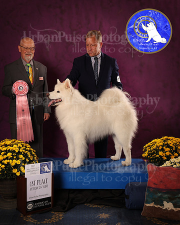SCA2023_D_AWARD_5941