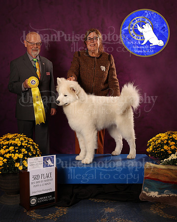 SCA2023_D_AWARD_5945