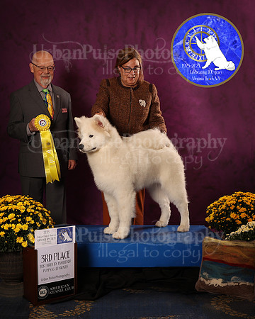 SCA2023_D_AWARD_5947