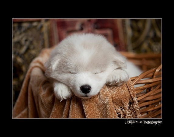 Keats_6weeks_0229