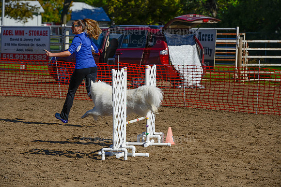 AGILITY-2123