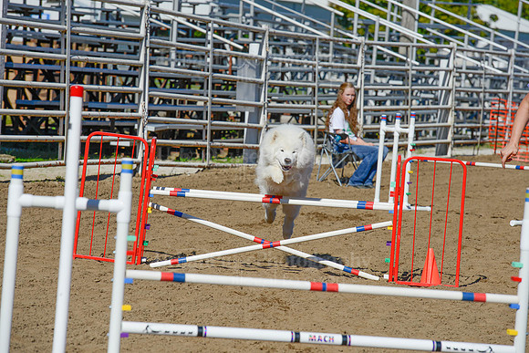 AGILITY-2119