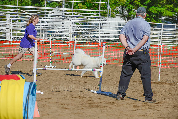 AGILITY-2082