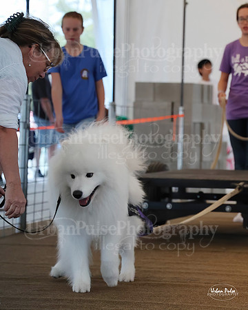 SCA2023_NOVICE WP-43_10