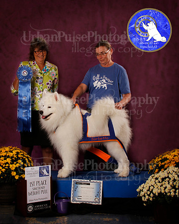 SCA2023_PERFORMANCE_AWARD_6273