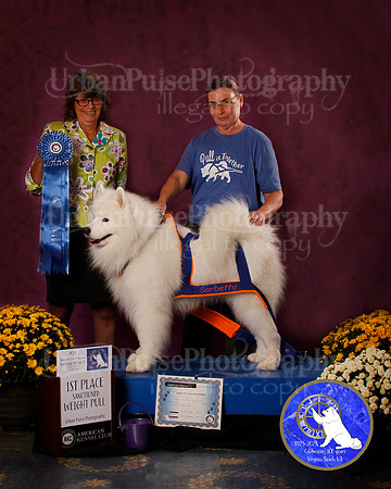 SCA2023_PERFORMANCE_AWARD_6272