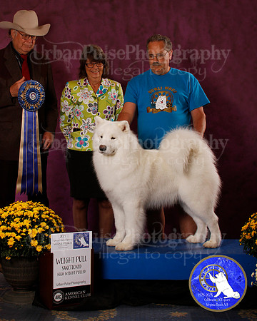 SCA2023_PERFORMANCE_AWARD_6250