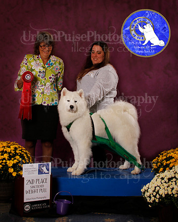 SCA2023_PERFORMANCE_AWARD_6271