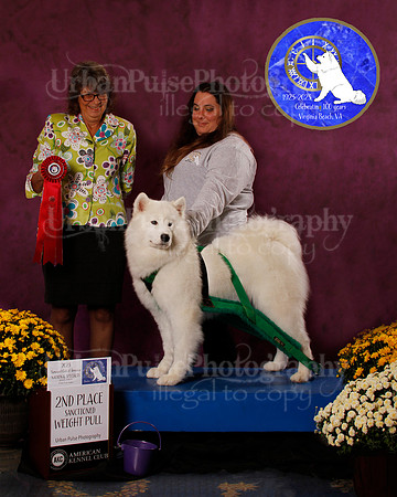 SCA2023_PERFORMANCE_AWARD_6270