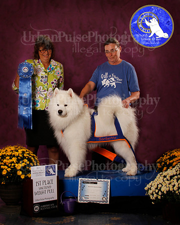 SCA2023_PERFORMANCE_AWARD_6277