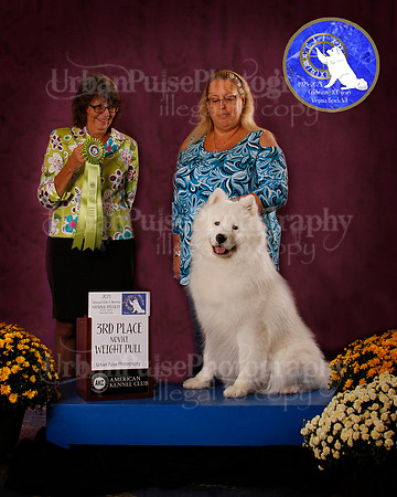SCA2023_PERFORMANCE_AWARD_6282