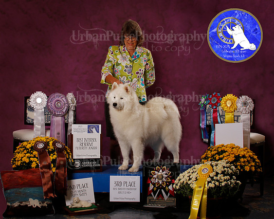 SCA2023_PERFORMANCE_AWARD_6297