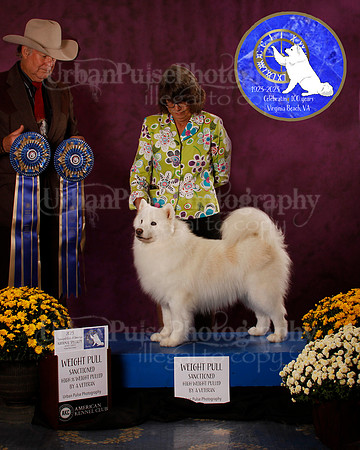 SCA2023_PERFORMANCE_AWARD_6256