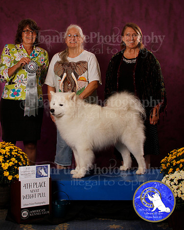 SCA2023_PERFORMANCE_AWARD_6262