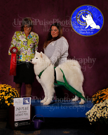 SCA2023_PERFORMANCE_AWARD_6268