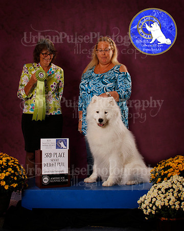 SCA2023_PERFORMANCE_AWARD_6279