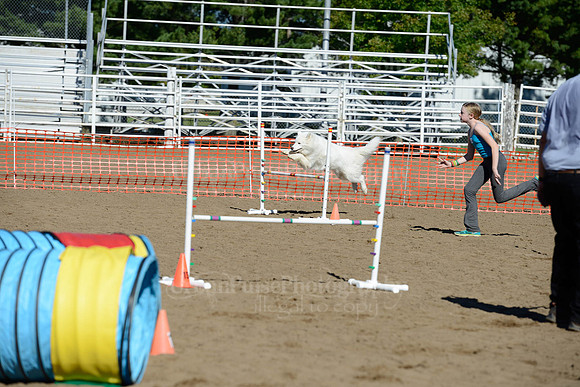 AGILITY-1930