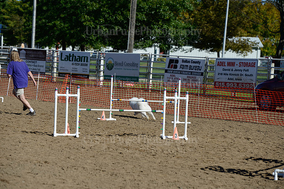 AGILITY-1897