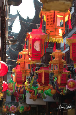 China_Shanghai-4