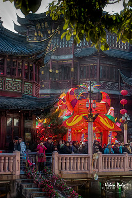 China_Shanghai-8