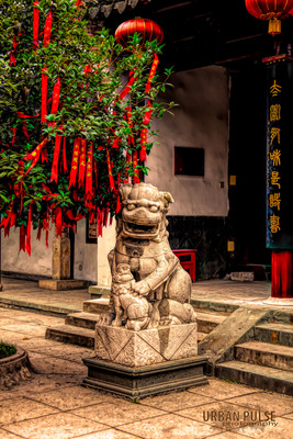 China_6218