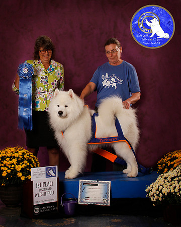 SCA2023_PERFORMANCE_AWARD_6277_10
