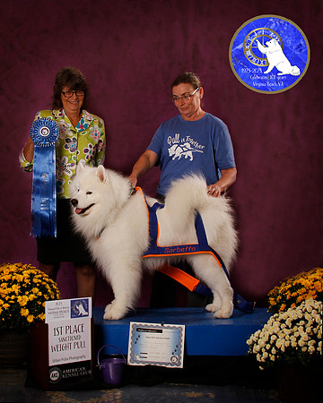 SCA2023_PERFORMANCE_AWARD_6273_20