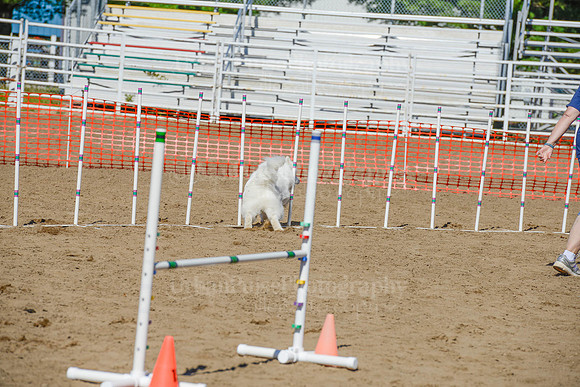 AGILITY-2397