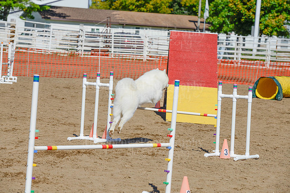 AGILITY-2410