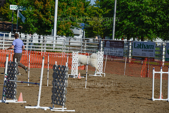 AGILITY-2103
