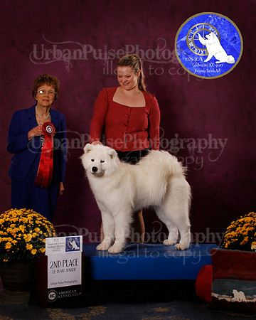 SCA2023_B_AWARD_6184