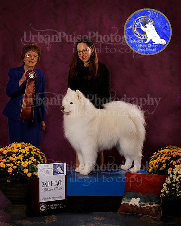 SCA2023_B_AWARD_6176