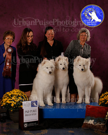 SCA2023_B_AWARD_6181