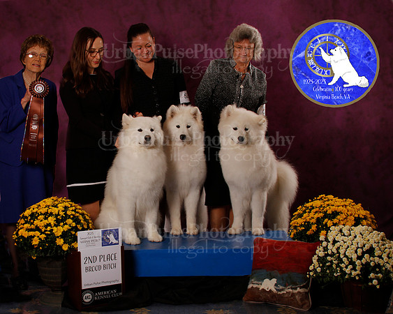 SCA2023_B_AWARD_6180