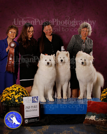 SCA2023_B_AWARD_6179